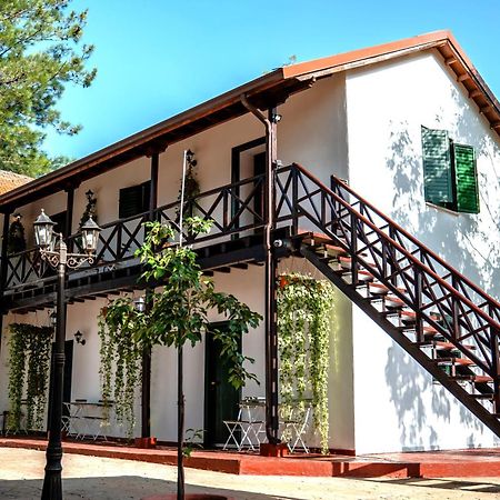 Pine View Boutique Hotel Adults Only Saittas Extérieur photo